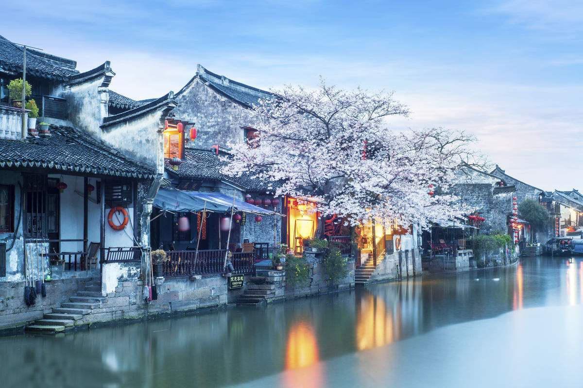 格林失宠!西部黑马风光不再,内部竞争白热化,谁将脱颖而出?